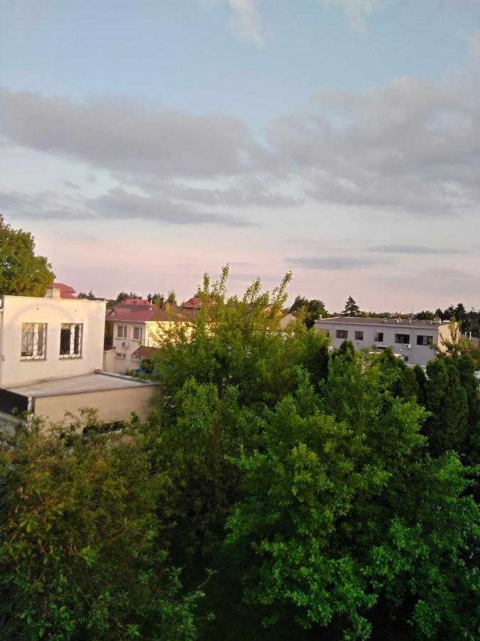 Bed and Breakfast La Madriguera Рашин Экстерьер фото