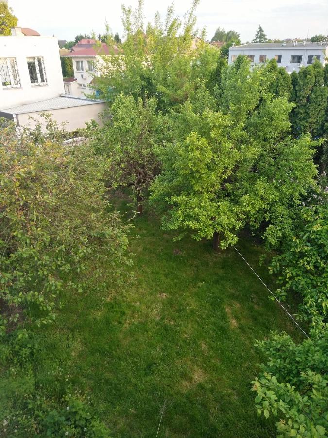 Bed and Breakfast La Madriguera Рашин Экстерьер фото